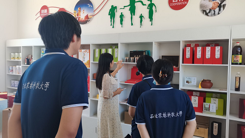 寻访陕西好“柿” 谱写匠心新篇——资环学院团队探秘富平柿饼制作背后的科技基因